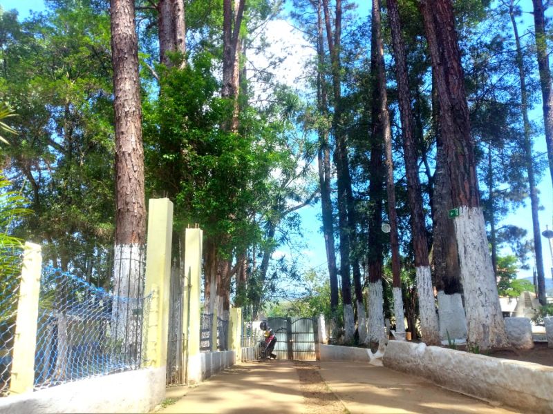 Foto 5 da clínica Clínica de Recuperação para Dependência Química Masculina em Guarulhos